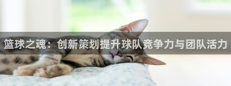 意昂4官网：篮球之魂：创新策划提升球队竞争力与团队活力