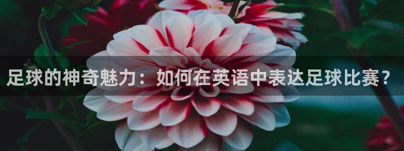 意昂4招商：足球的神奇魅力：如何在英语中表达足球比赛？