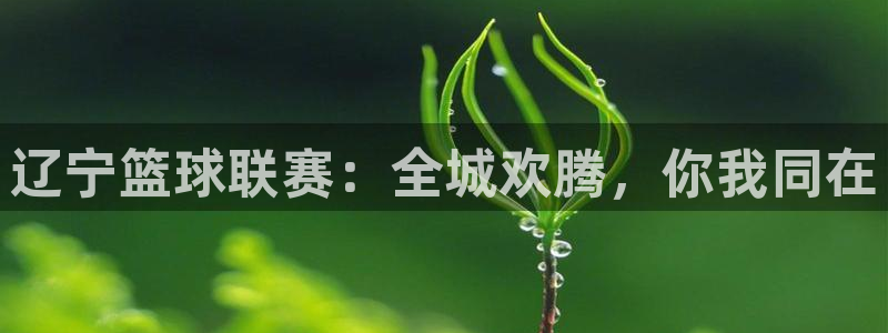 意昂4注册地址：辽宁篮球联赛：全城欢腾，你我同在