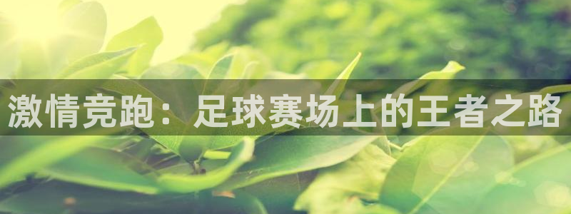 意昂4登陆：激情竞跑：足球赛场上的王者之路
