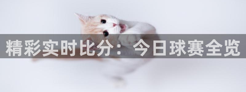 意昂4：精彩实时比分：今日球赛全览