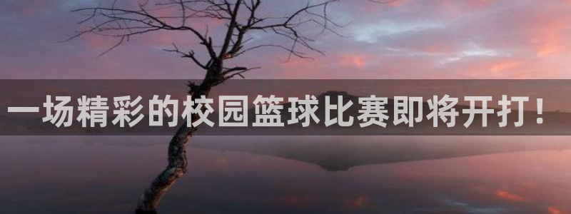 凯捷体育：一场精彩的校园篮球比赛即将开打！