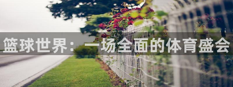 意昂4娱乐平台：篮球世界：一场全面的体育盛会